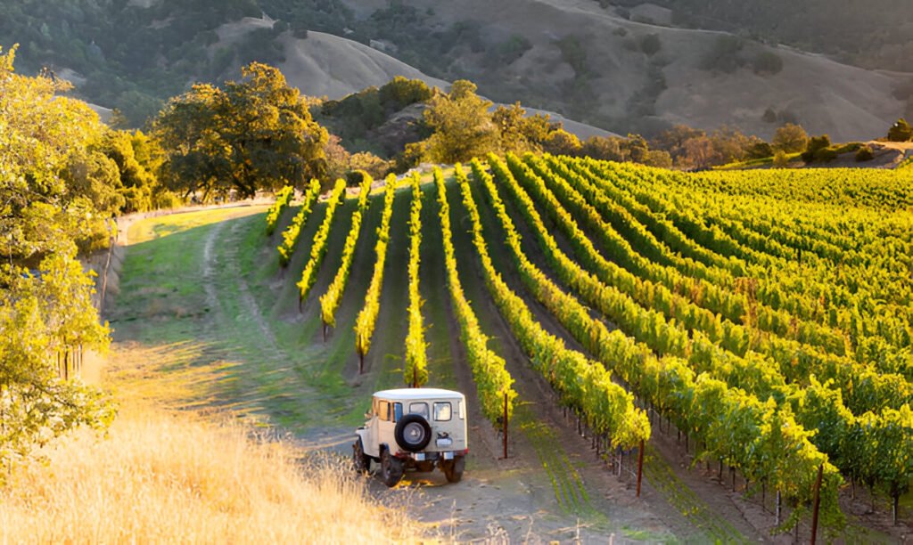 Most Charming Small Towns in Northern California.