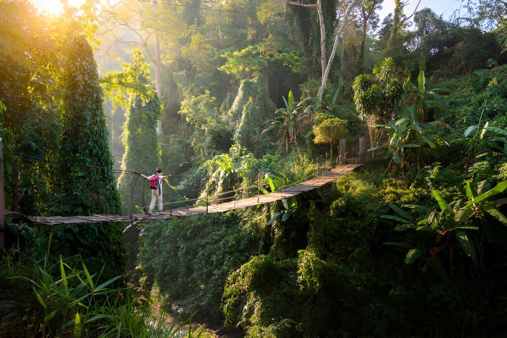 Thailand: The Solo Traveler's Gateway to Asia