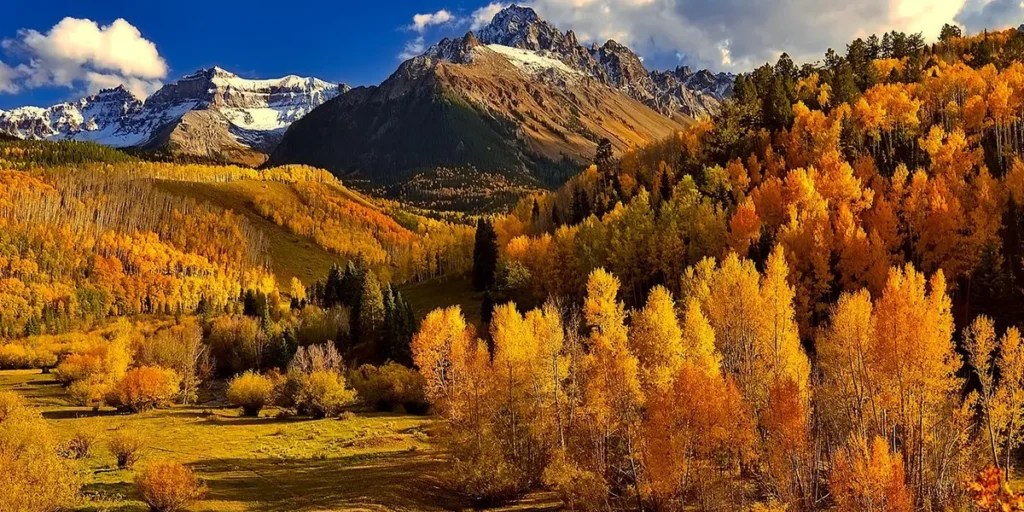 Colorado's Aspen Groves Golden Mountain Paradise