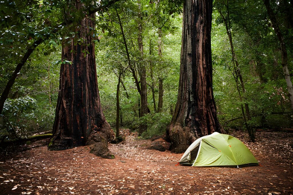 How to find a last-minute campsite in California