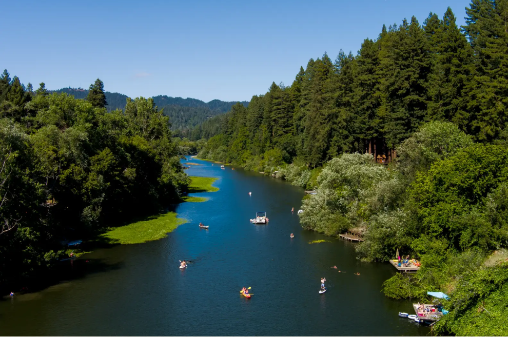 Best wineries Healdsburg