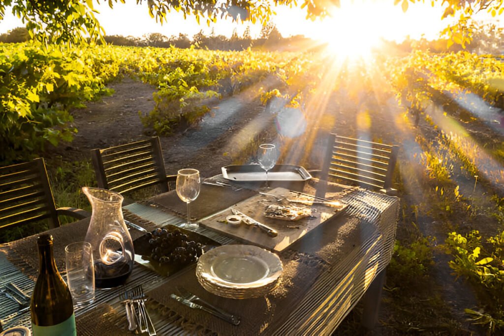 California wine country cycling