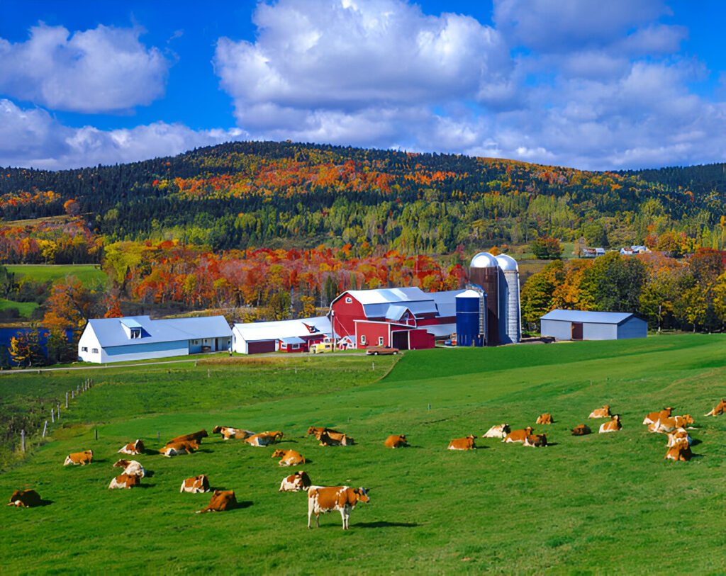 Best Fall Vacations in the US