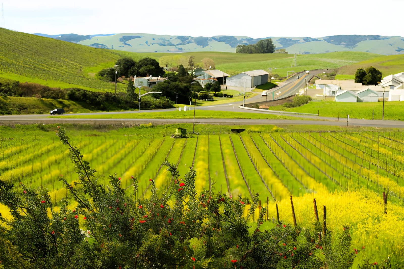 things to do in Healdsburg besides wine