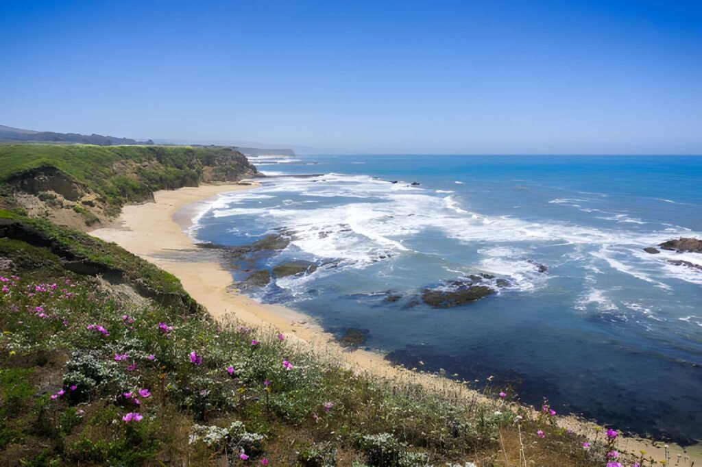 Half Moon Bay travel guide
